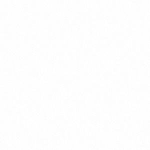 Meet your Posher, Jordana